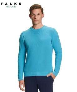 Herren Pullover Rundhals