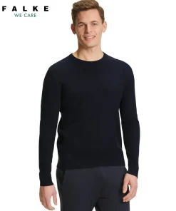 Herren Pullover Rundhals