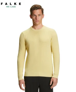 Herren Pullover Rundhals