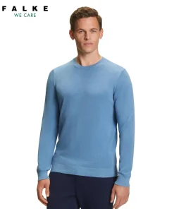 Herren Pullover Rundhals
