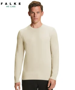 Herren Pullover Rundhals