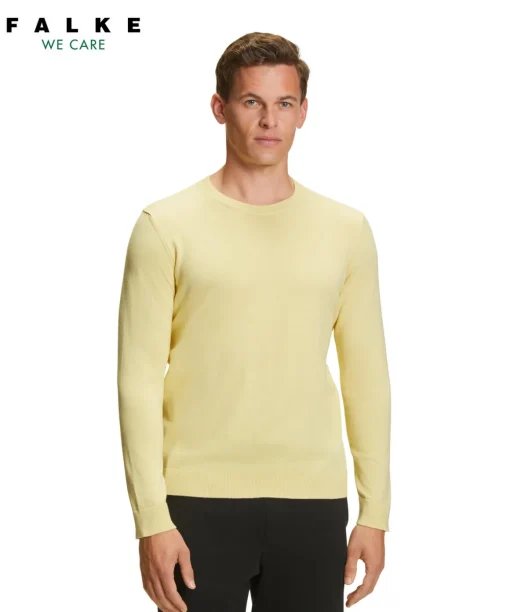 Herren Pullover Rundhals