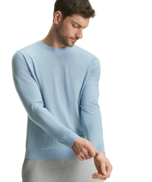 Herren Pullover Rundhals