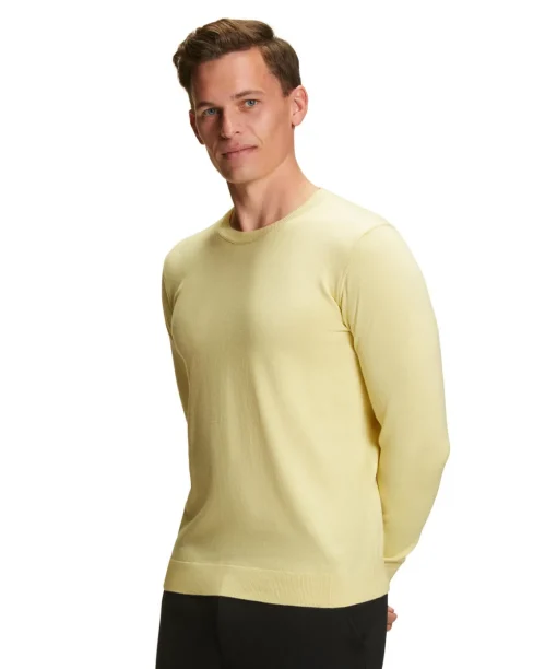 Herren Pullover Rundhals