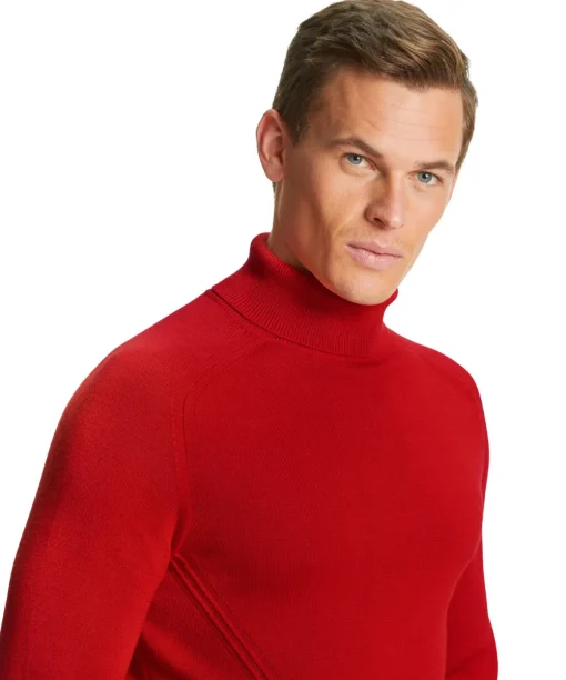 Herren Skiing Pullover Rollkragen