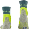 Tk2 Explore Cool Short Herren Trekking Kurzsocken